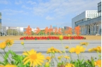 南方科技大学2025年诚邀全球英才